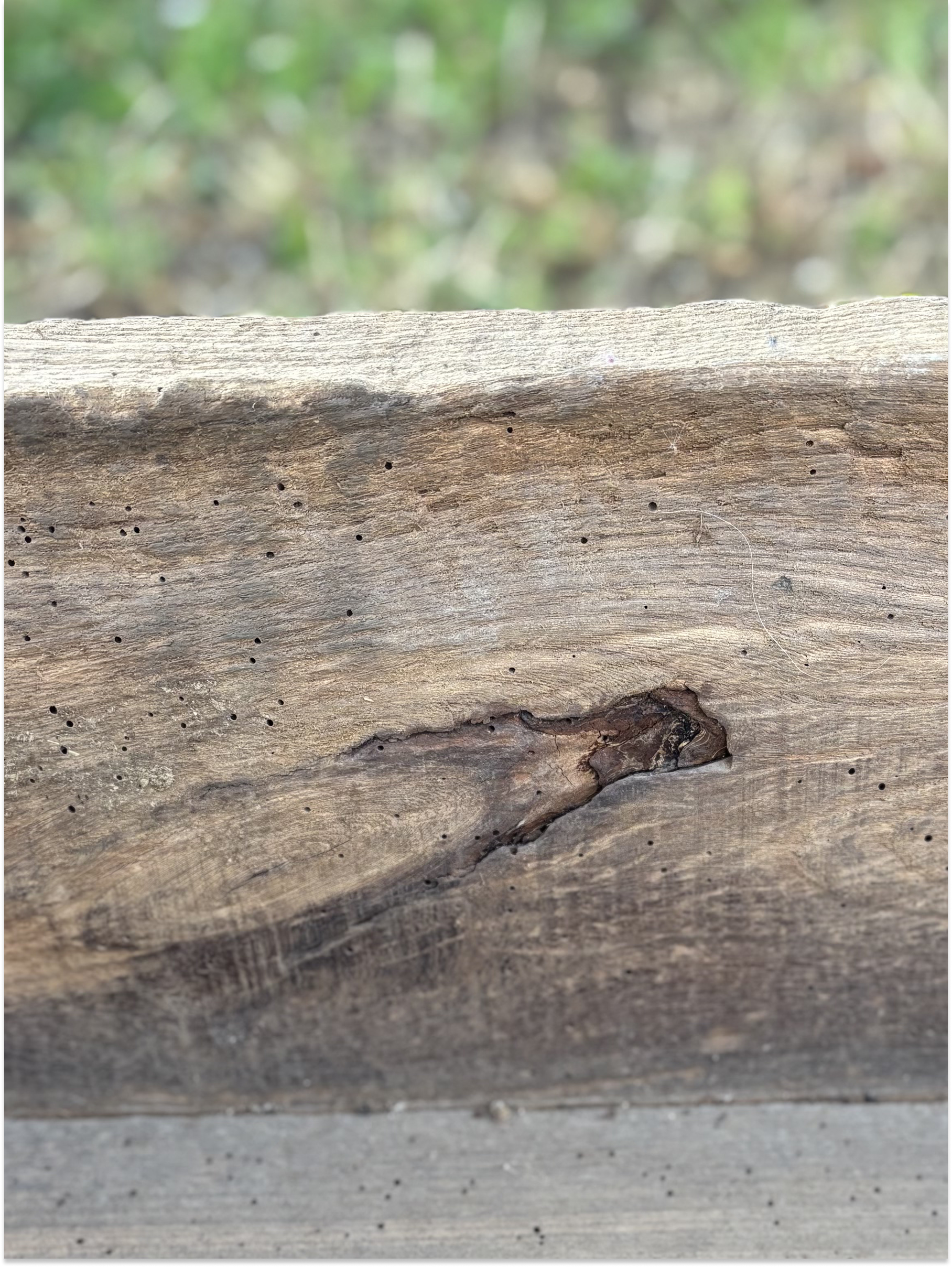 Antique Oak Troughs Circa 1880 | Reclaimed Wooden Garden Planters