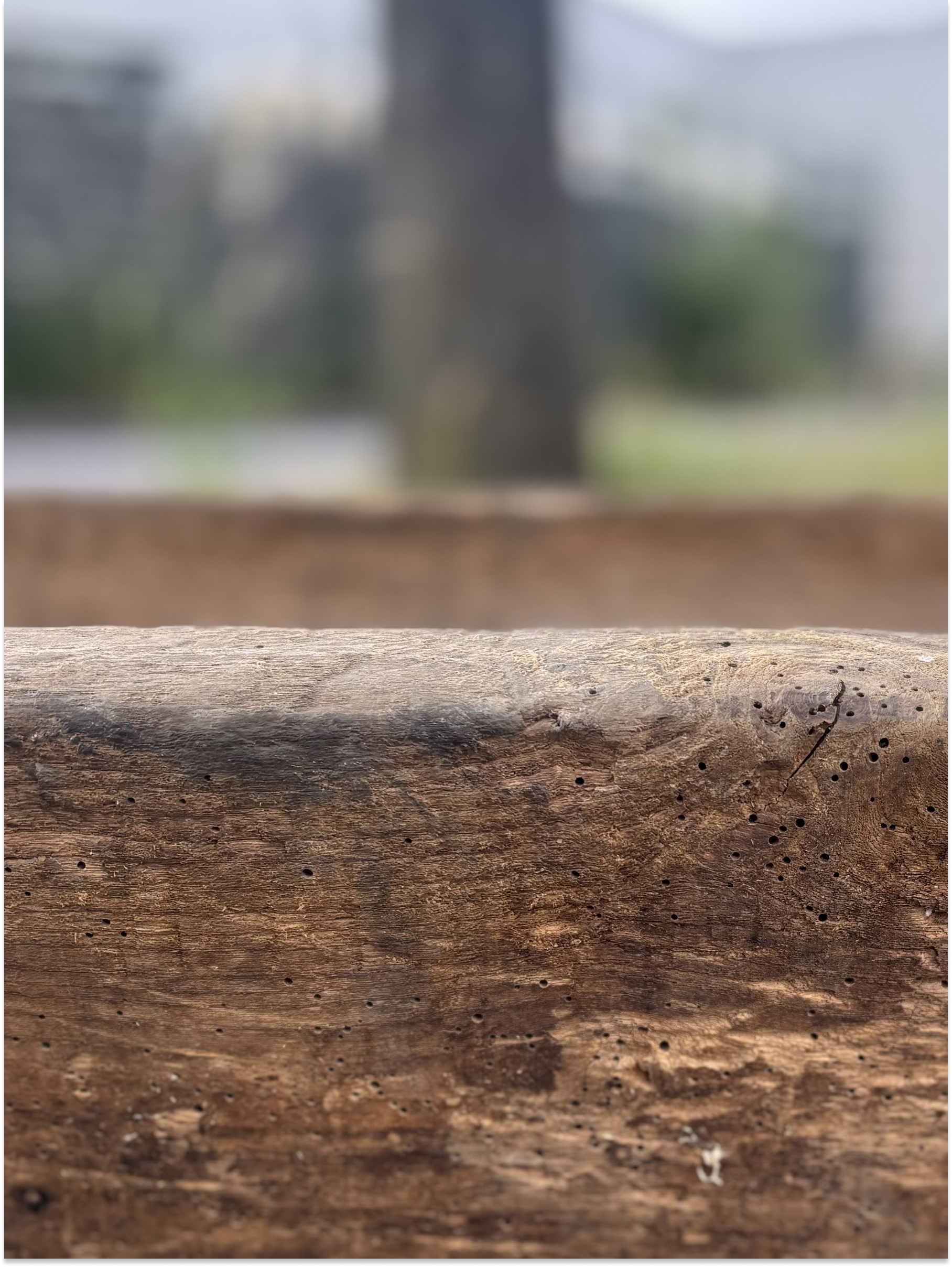 Antique Oak Troughs Circa 1880 | Reclaimed Wooden Garden Planters