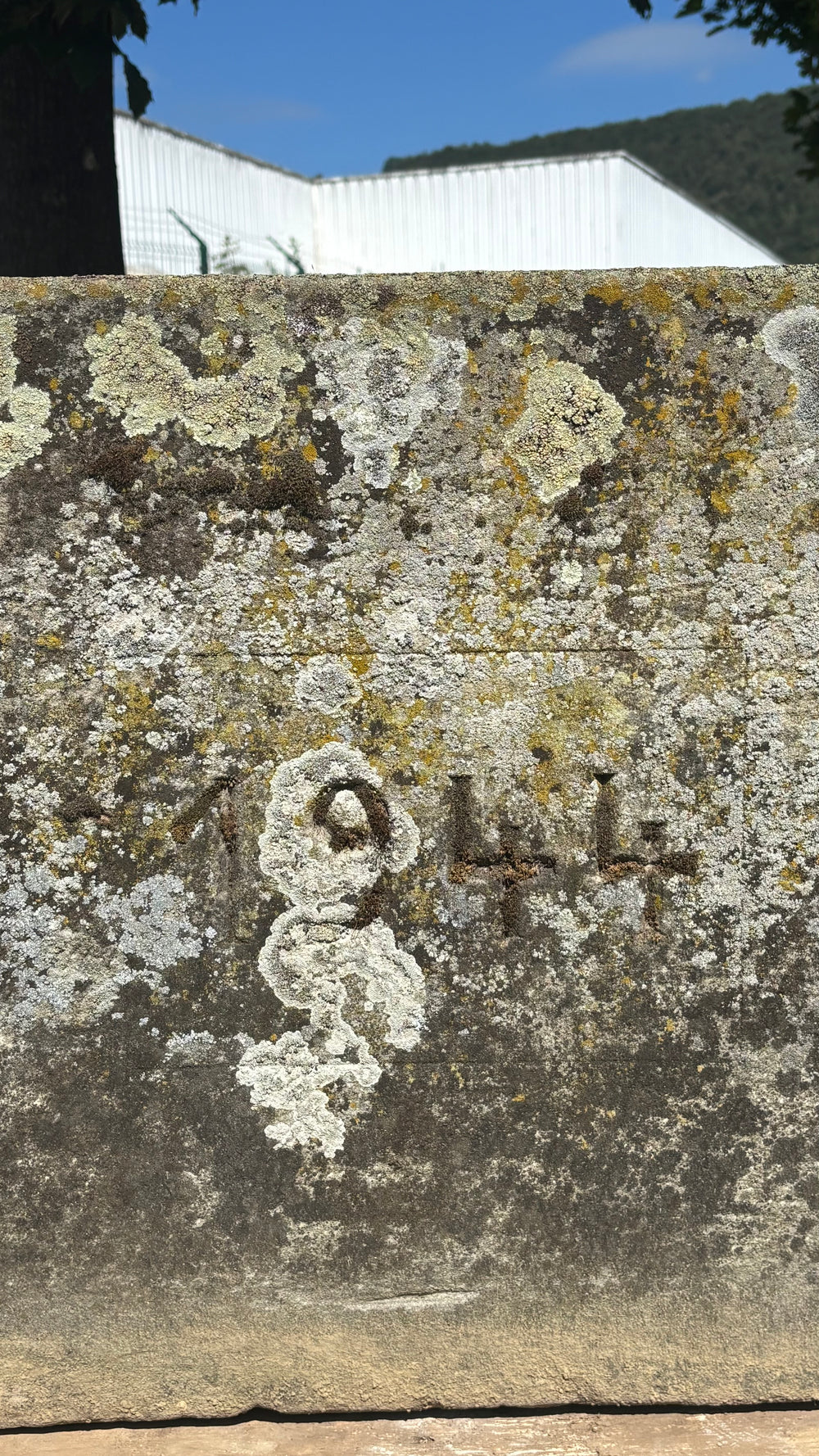 Artlane