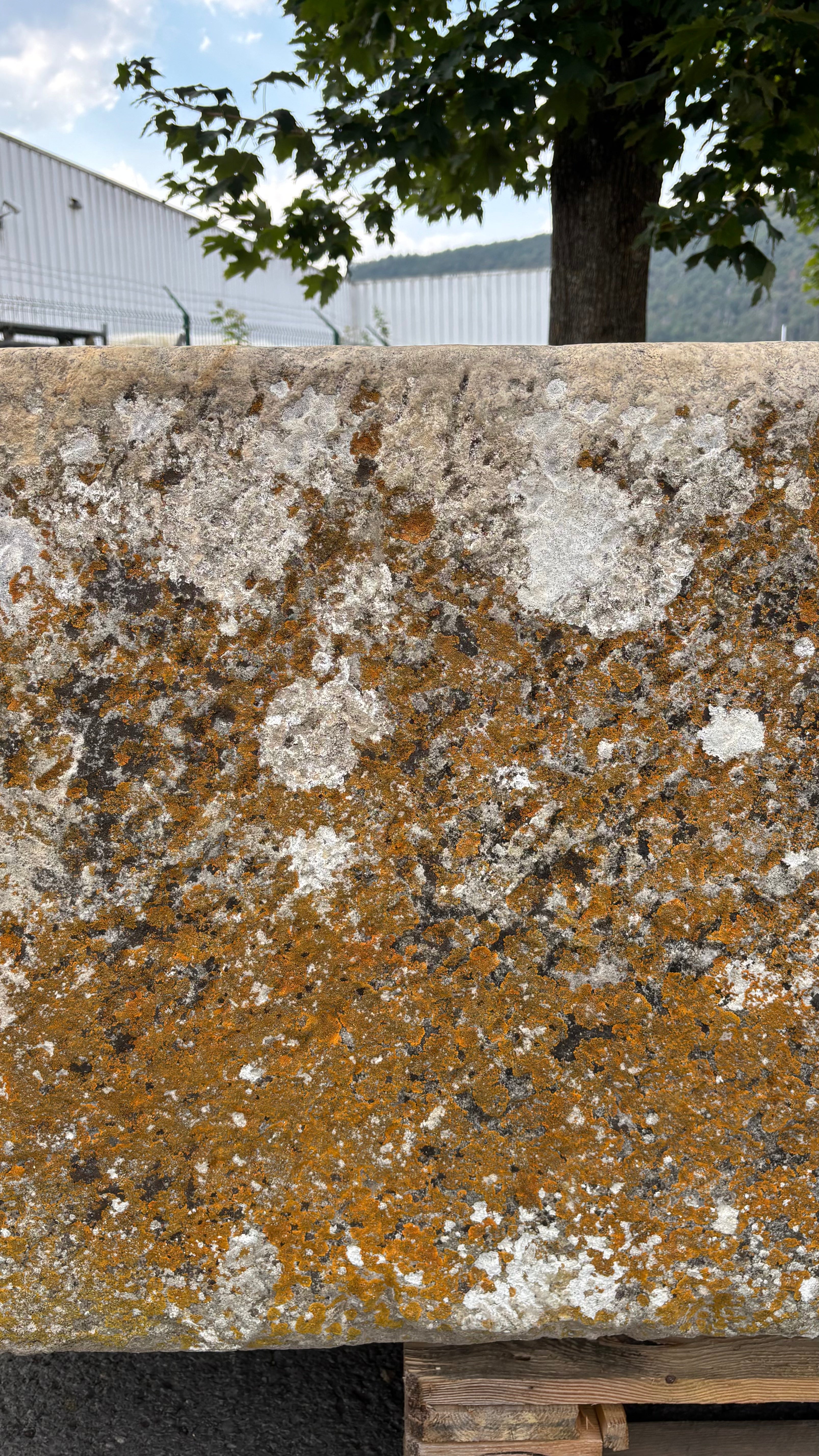 18th Century French Stone Trough | Antique Garden Fountain Basin
