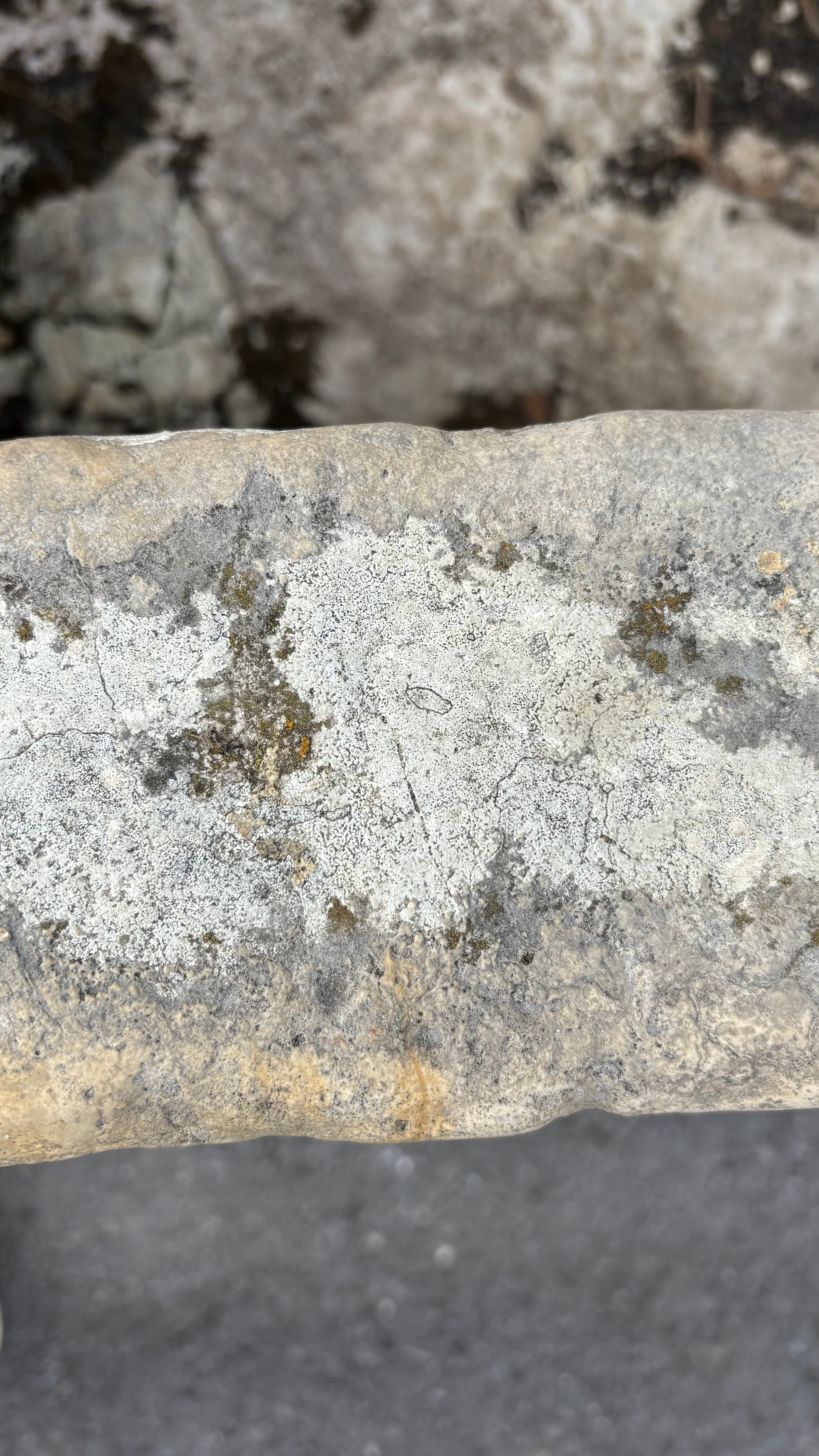 18th Century French Stone Trough | Antique Garden Fountain Basin