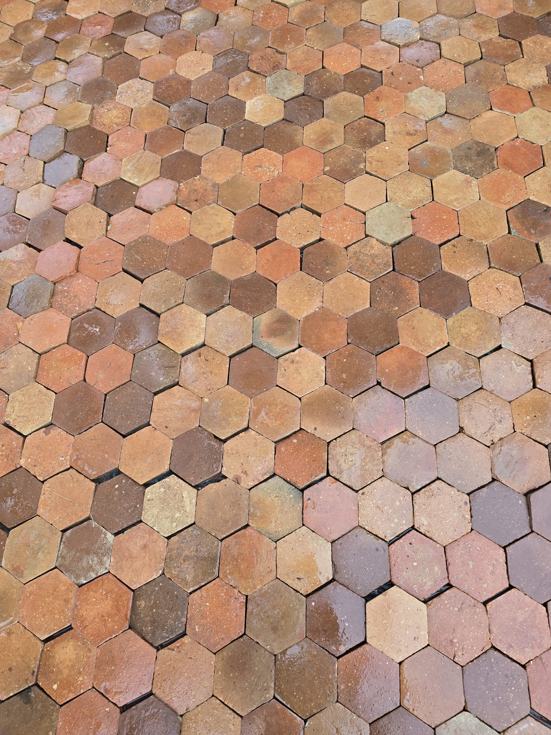 Antique Hexagonal Terracotta Tiles In Warm, Natural Hues