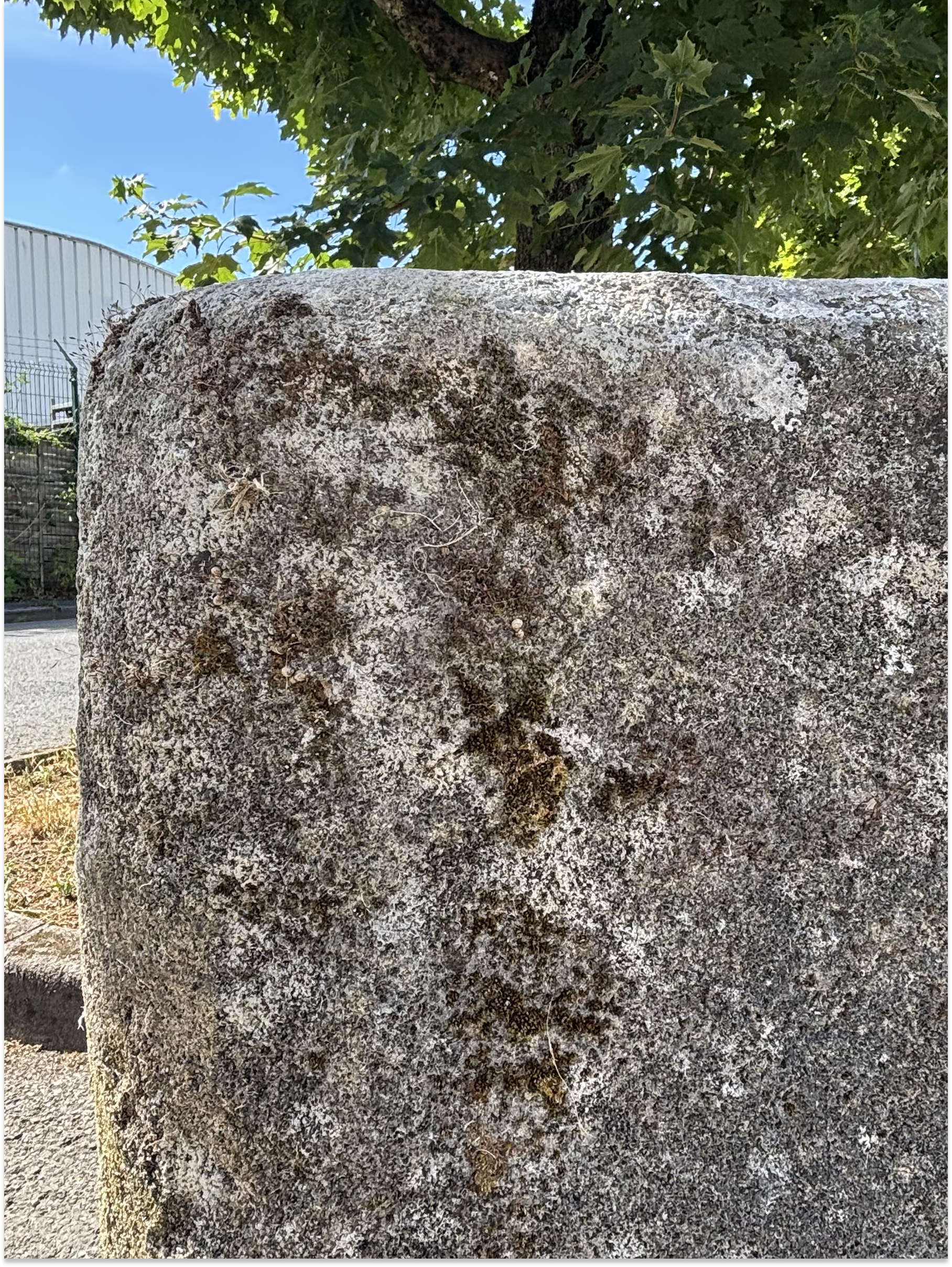 Antique French Stone Trough Circa 1870 | Reclaimed Stone Garden Planter