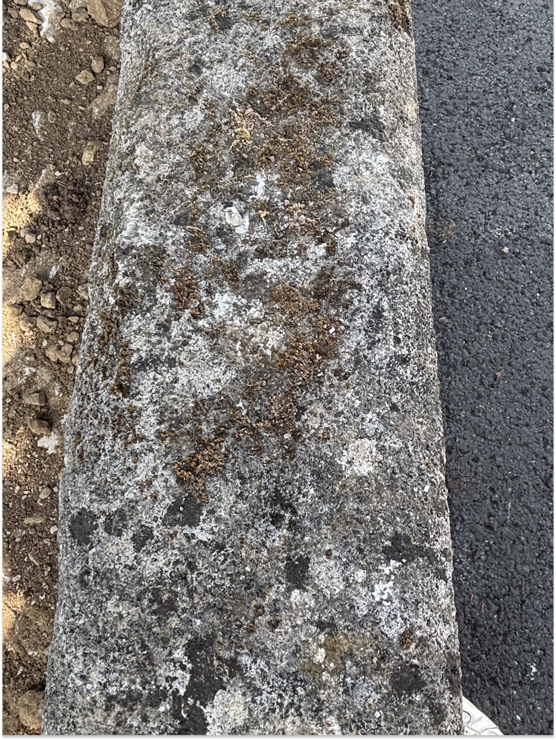 Antique French Stone Trough Circa 1870 | Reclaimed Stone Garden Planter