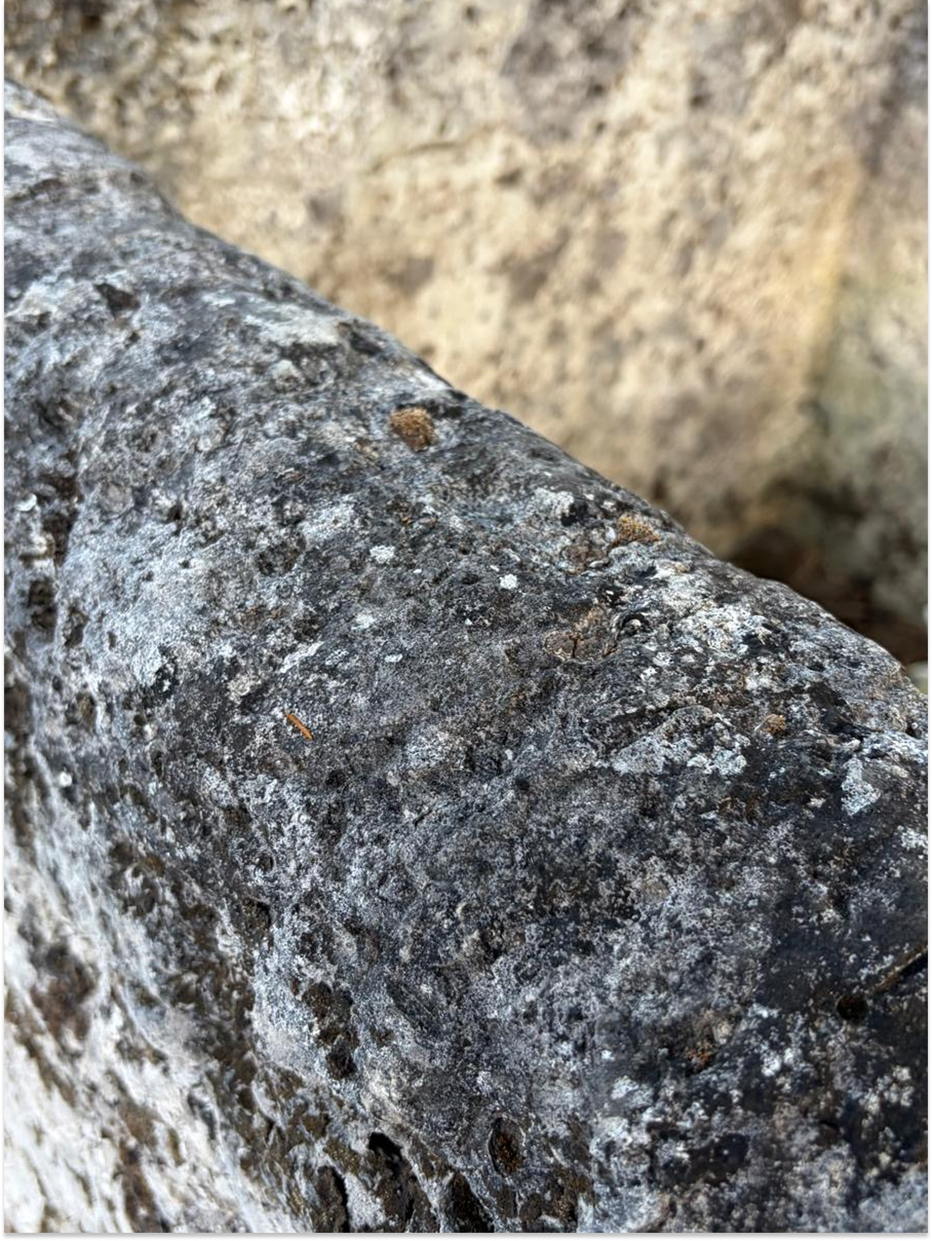 Antique French Limestone Trough Circa 1830 | Reclaimed Stone Garden Planter