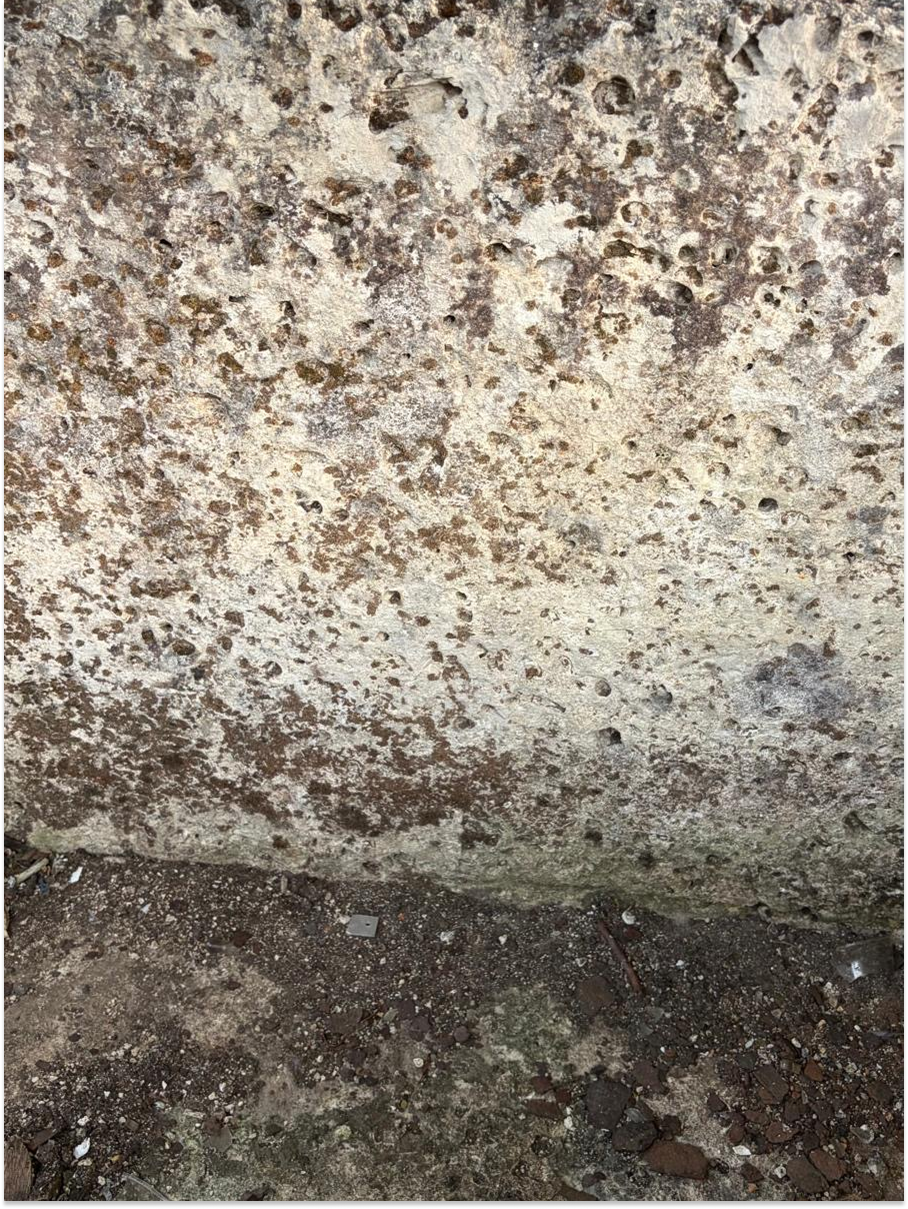 Antique French Limestone Trough Circa 1830 | Reclaimed Stone Garden Planter