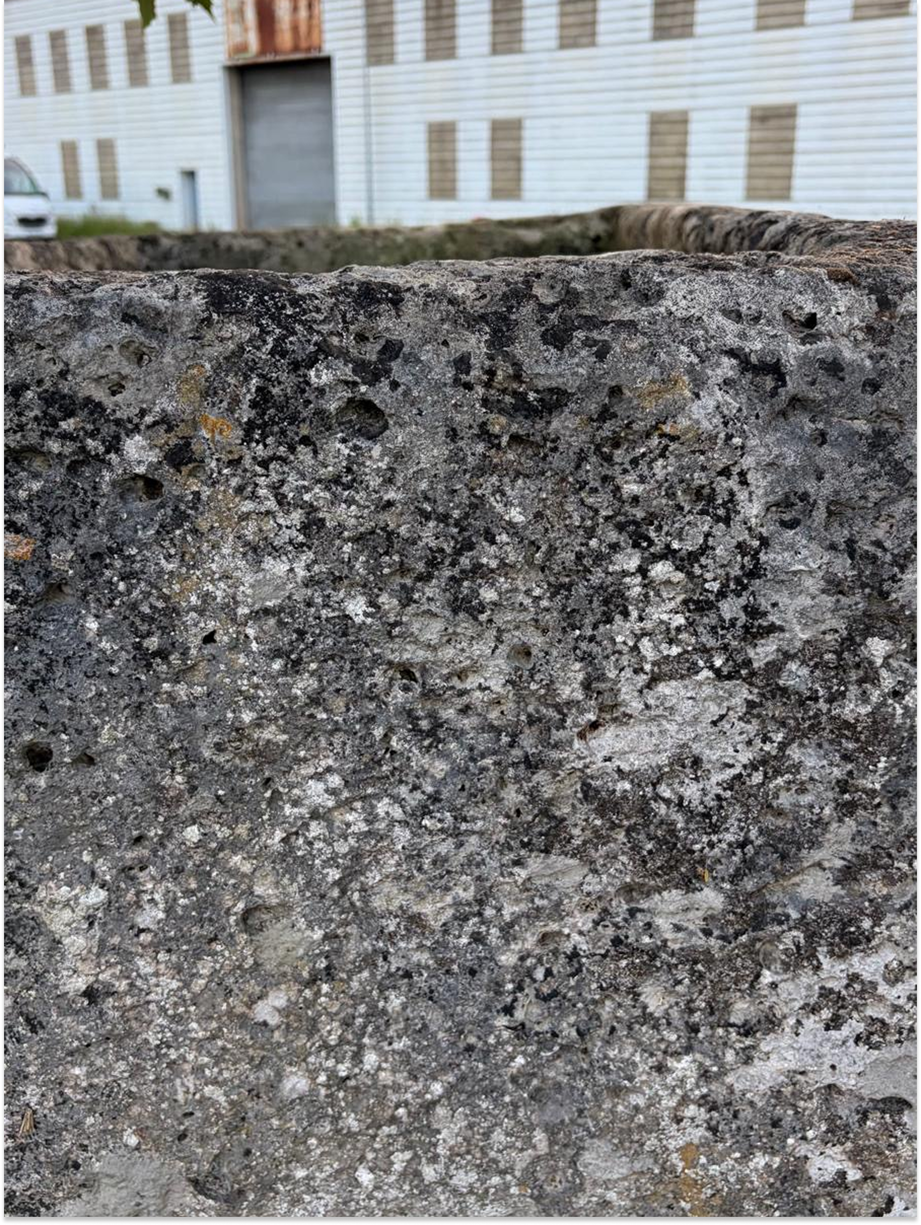 Reclaimed stone garden basin from Angoulême France
