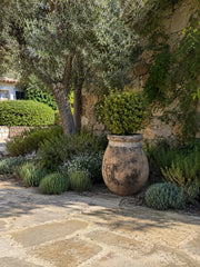 Antique Biot Jar Circa 19th Century | French Provençal Terracotta Pot