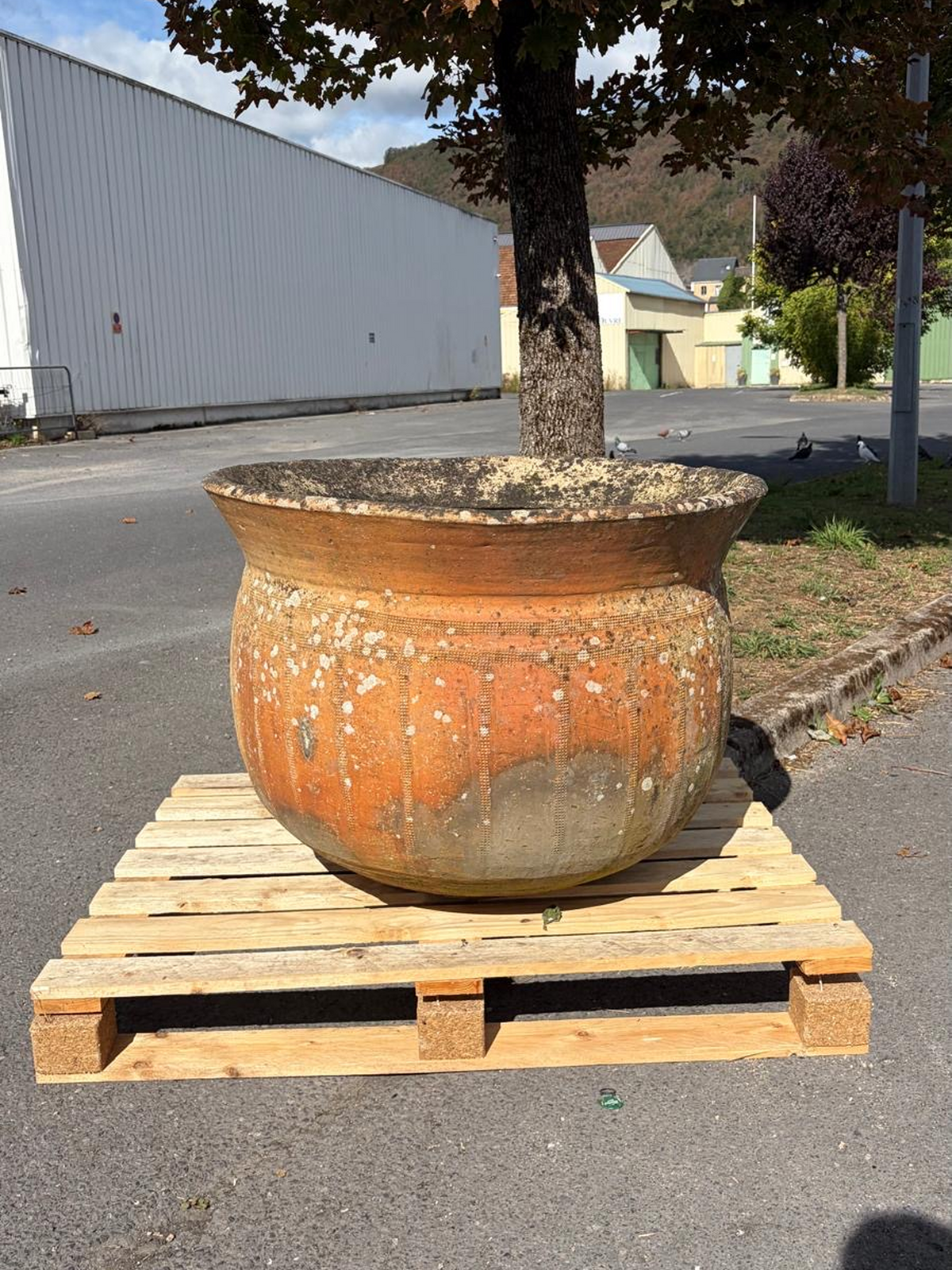 antique French terracotta garden pot with natural patina