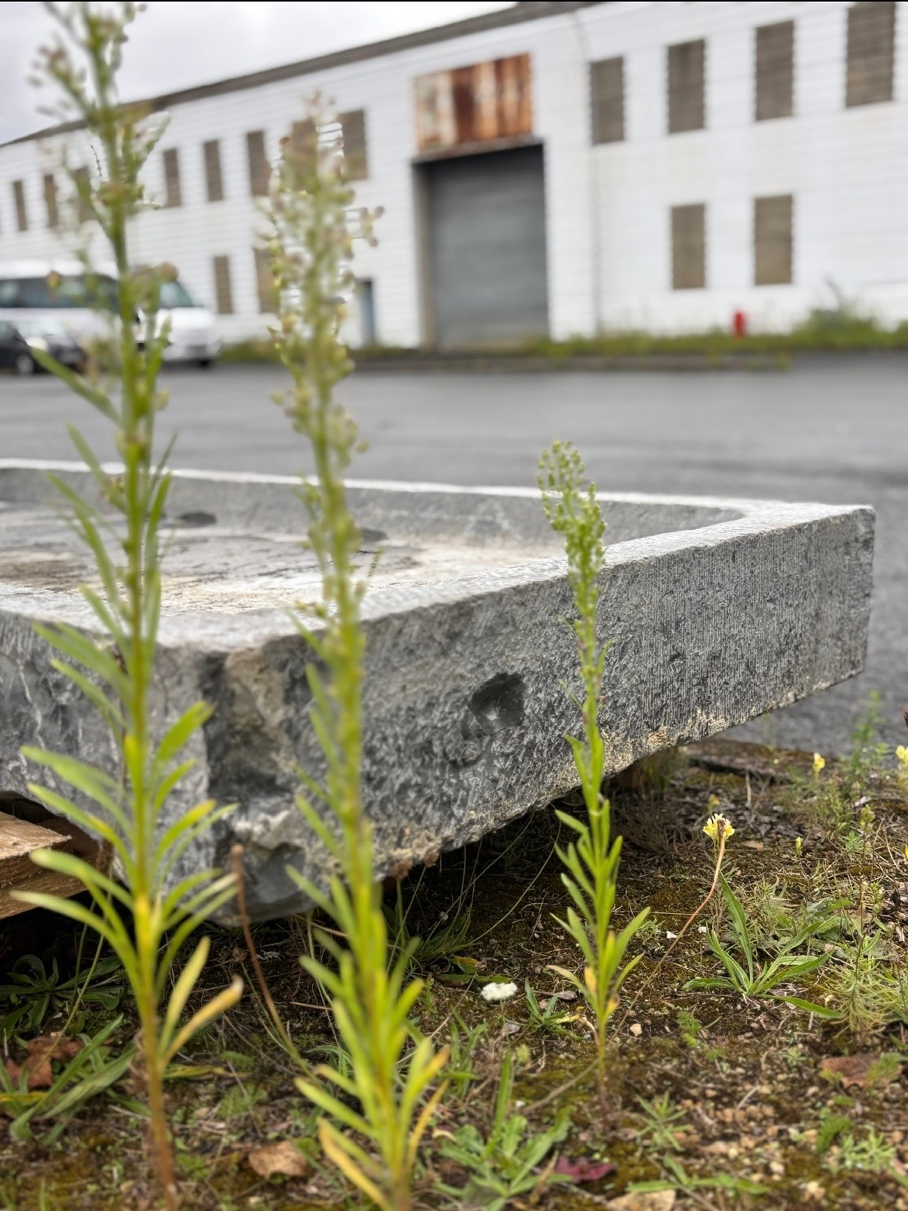 Antique Belgian Bluestone Shower Tray