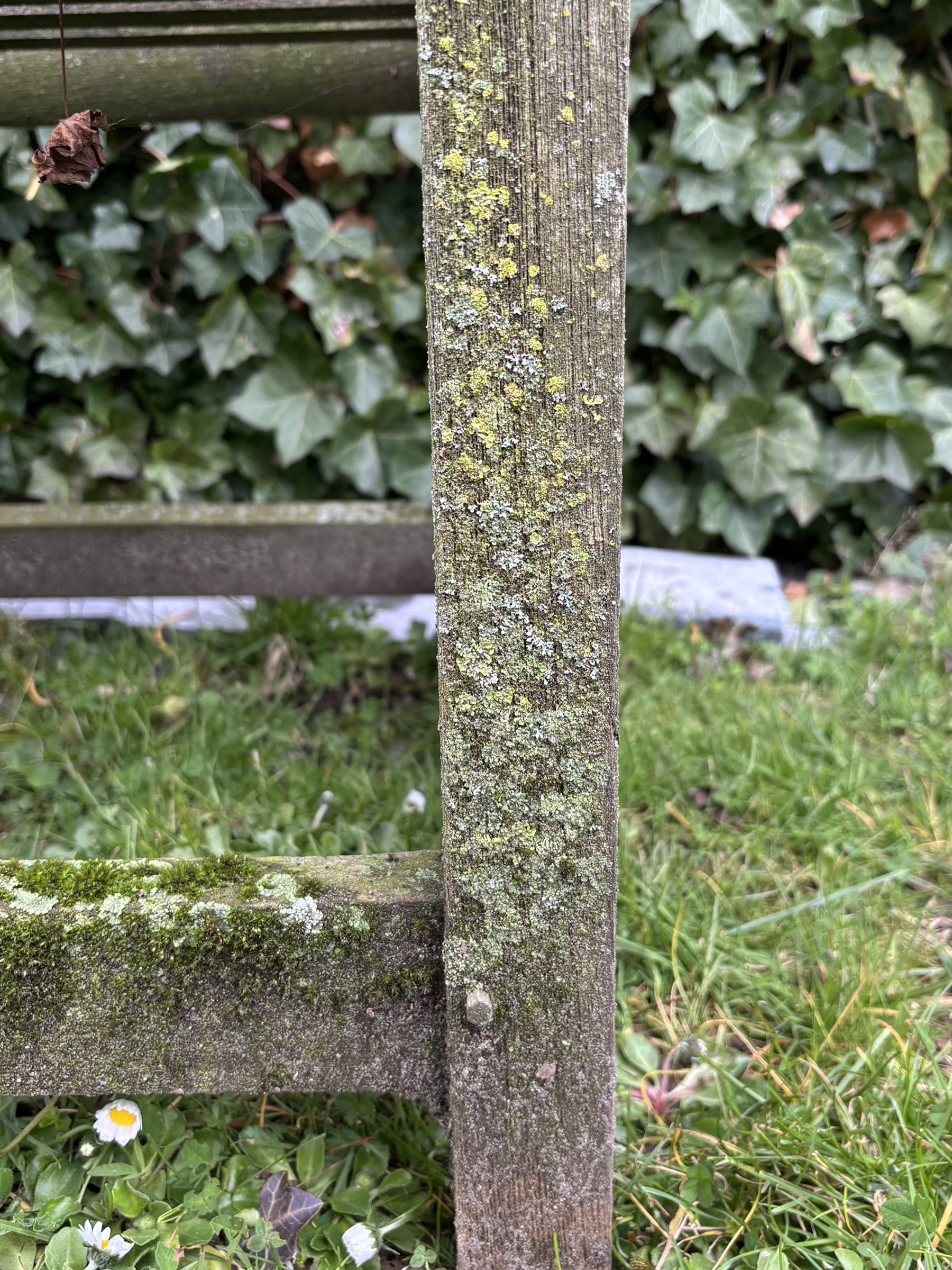 Vintage Wooden Garden Bench