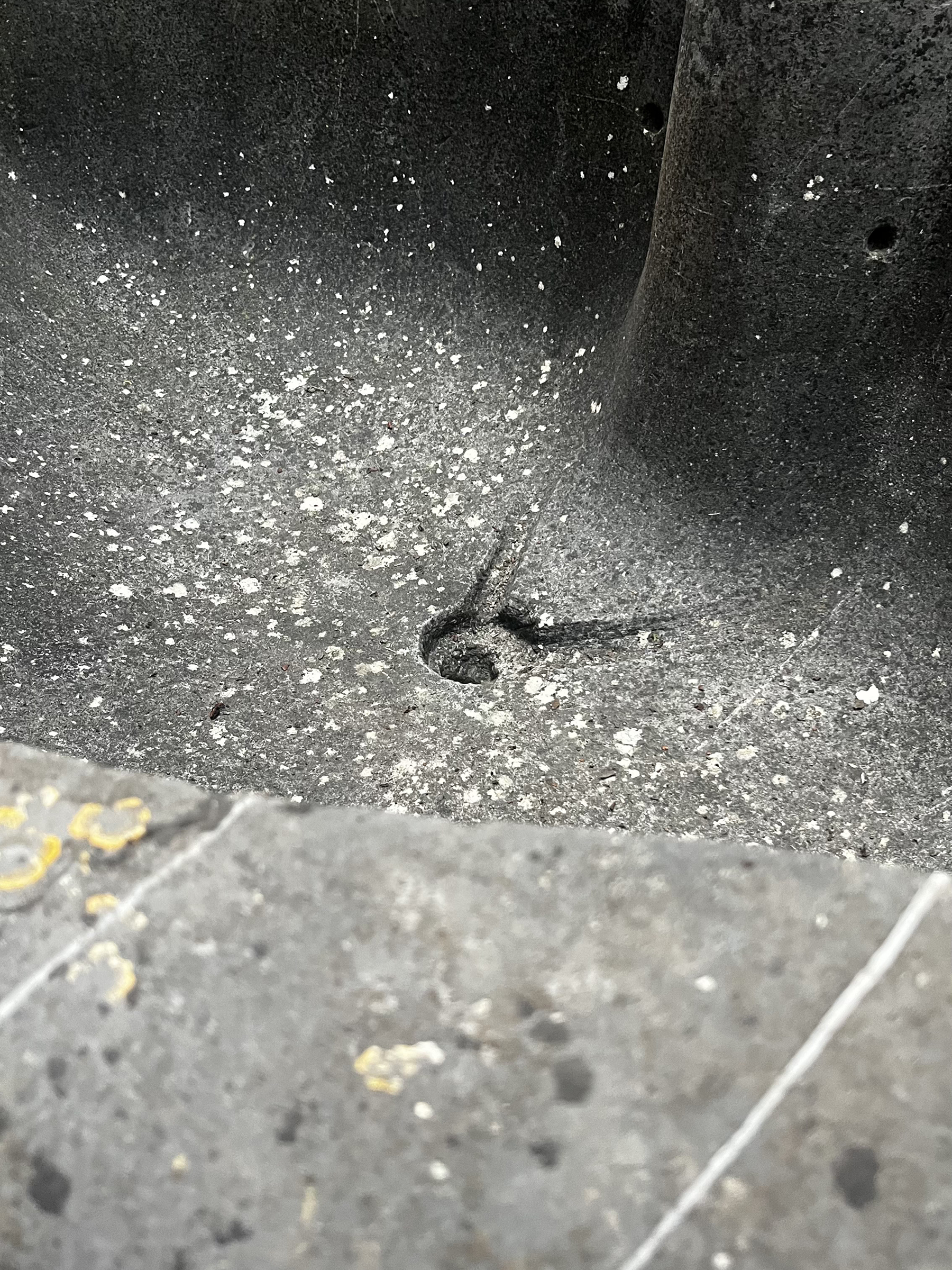 Antique Fountain Basin in Grey-Black Veined Marble | Monumental Hand-Carved Stone Piece