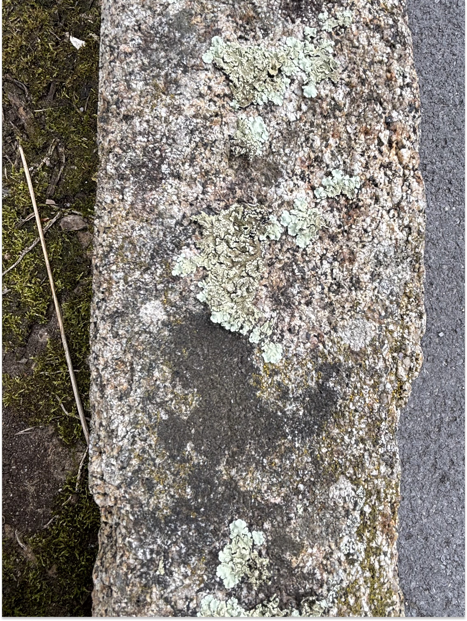 Large antique French granite trough circa 1850
