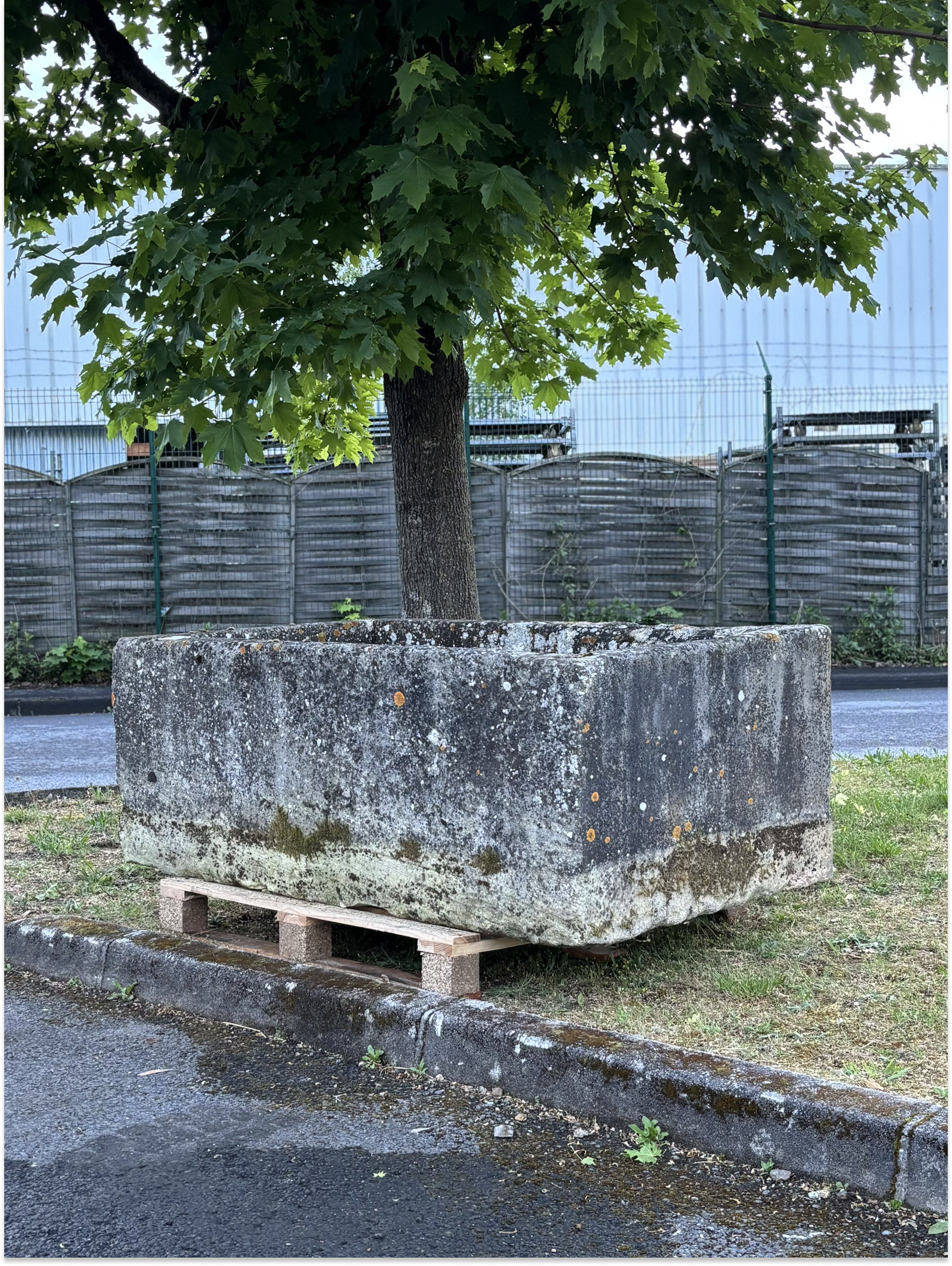 Beautiful Antique Stone Trough
